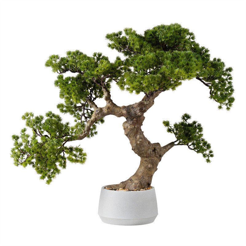 65cm Artificial Pine Bonsai Tree in Cement Effect Pot